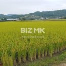 가평탑공인중개사사무소 이미지