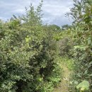 제암산등산로 | 전남 장흥 제암산 (2025.9.14)