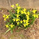 차주목장 이미지