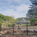 퍼피월드제주 이미지