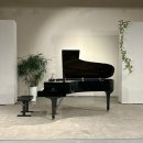 플랜에이 B홀 이미지