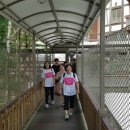 시티즌랜드 이미지