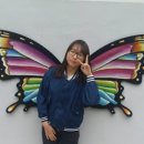 낙산계곡펜션 이미지