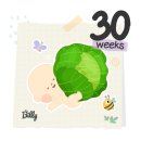 바디프랜드 신세계백화점 대구점 | [임신후기] 임신 30주 31주 증상, 임신30주아기크기 , 다비치콘서트, 만삭사진촬영