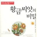 황금씨앗 이미지