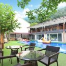 아일랜드코쿤 이미지