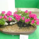 조이플라자 이미지