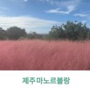 블랑411
