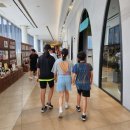 고양스타태권도장 이미지