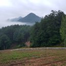 수하농장 이미지