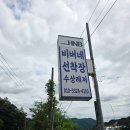 방하리 | 가평빠지 비버네선착장 : 무제한 패키지 파티까지 즐긴 솔직후기