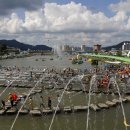 탐진한우 이미지