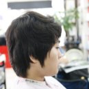 비땅기헤어 이미지