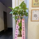 도은모터스 이미지