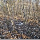 백양 관광호텔 이미지