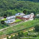 바우하우스 105 이미지