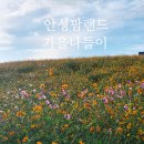 [장소] 즐거운 체험목장 &#39;안성팜랜드&#39;