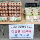 충무동새벽시장 뉴스쉐어