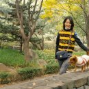 메티스본 이미지