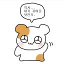 (주)모코코 이미지