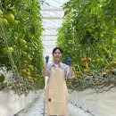 스마트팜 | [촬영 후기] 2026 고흥 스마트팜 혁신 밸리 홍보 영상 촬영