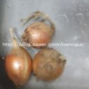 백용기농장 이미지