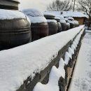 통일촌장단콩마을 이미지