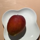 프레쉬마켓 | 딜리셔스마켓 프레쉬픽 제주 애플망고 솔직 후기