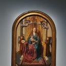 코마시스 이미지