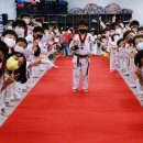 라이온태권도 이미지