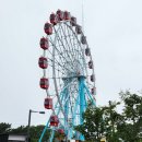 초양도 대관람차 이미지