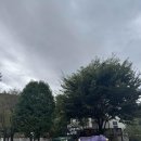 좋은날목장 이미지