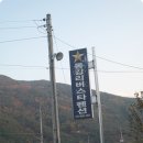 동강리버스타 이미지