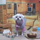 상대회관 이미지