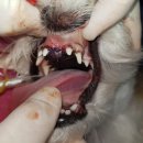 광주다온동물병원 이미지