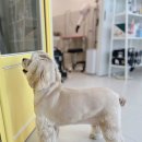 사림동253 이미지