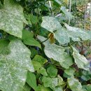 병순농장 이미지