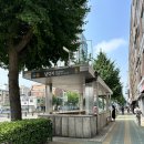 히네니2 이미지