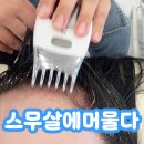 스무살에머물다 이미지
