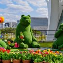 서울식물원 이미지