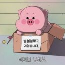 너울푸드