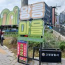 가야대학교(고령) 매일신문