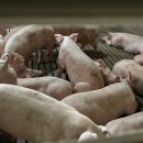 차지현축사 이미지