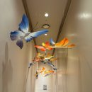 꿈꾸는정원 | 겨울 감성 제대로였던 에버랜드 야경 크리스마스 분위기 나비의 꿈꾸는 정원