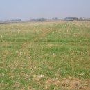 참살이농장 이미지