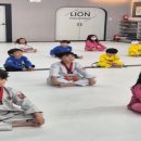 경희대 라이온 태권도 이미지