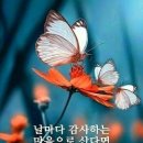 장수 하는 비법 이미지