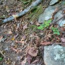 다빈농장 이미지