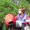 파주송화초등학교 이미지