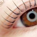 반송동272 이미지